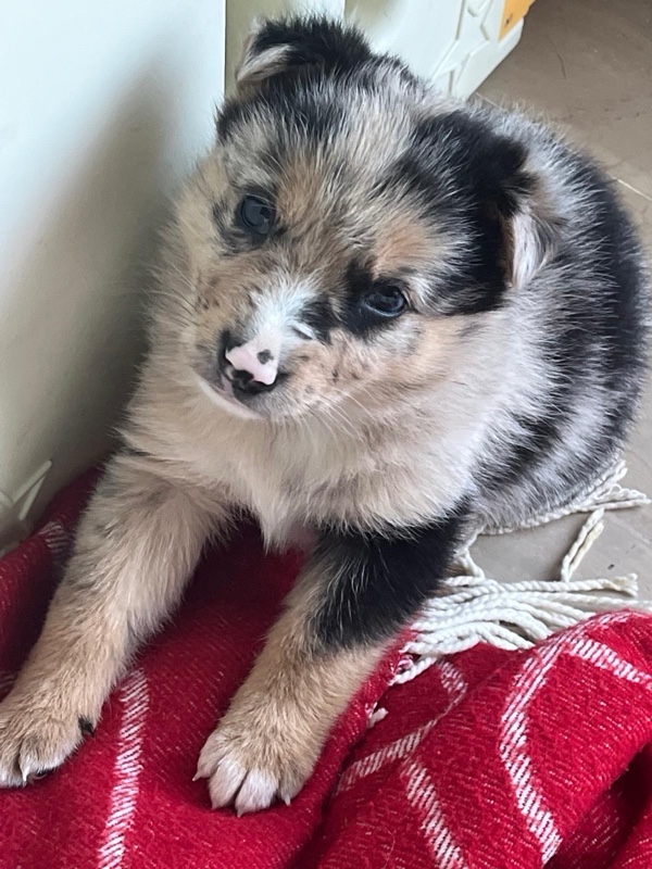 Winnie