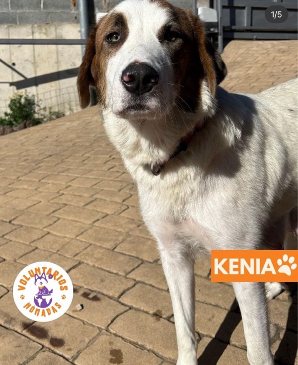 Kenia