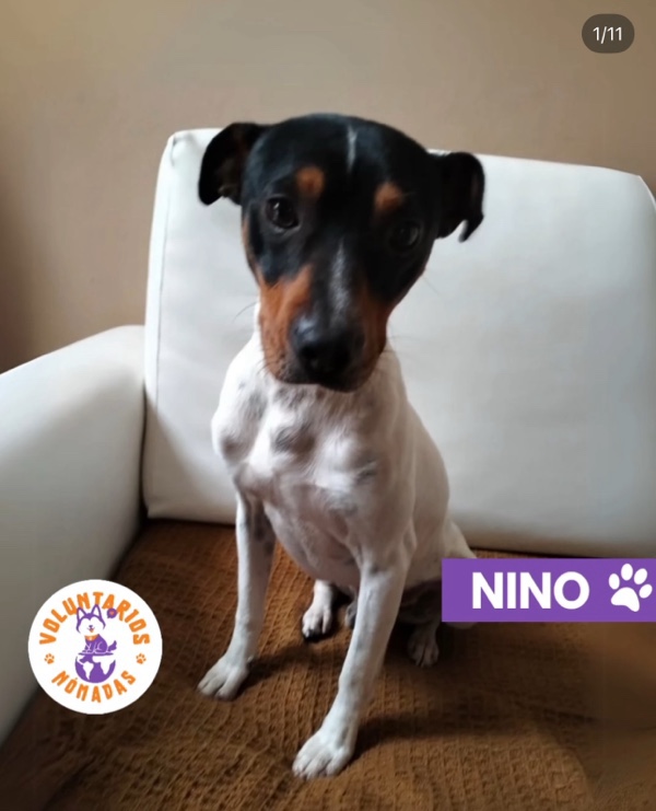 Nino