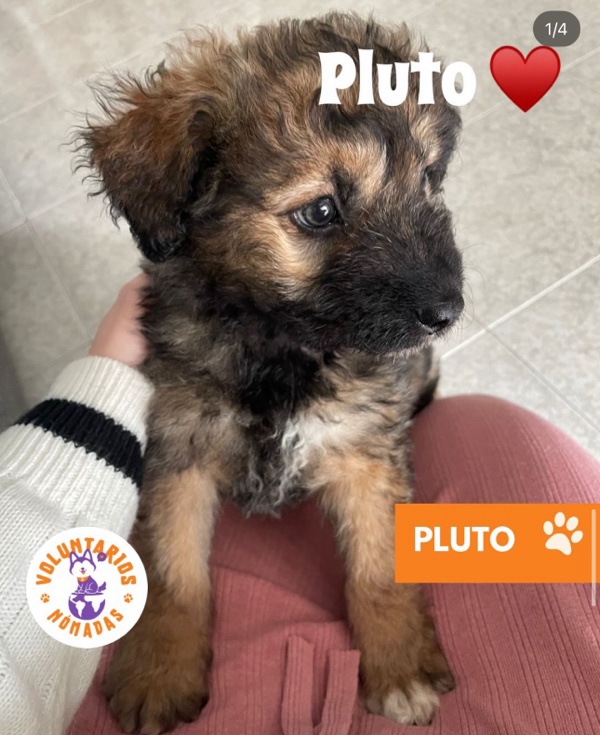 Pluto