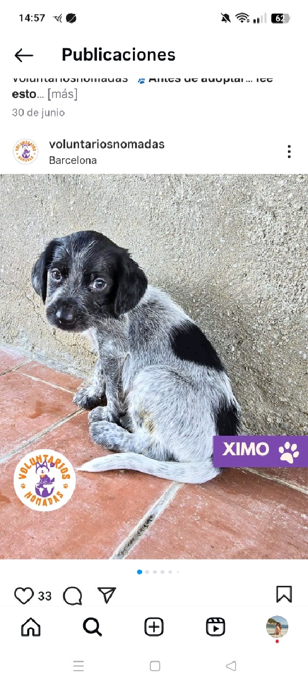 Ximo