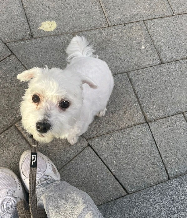 Coco