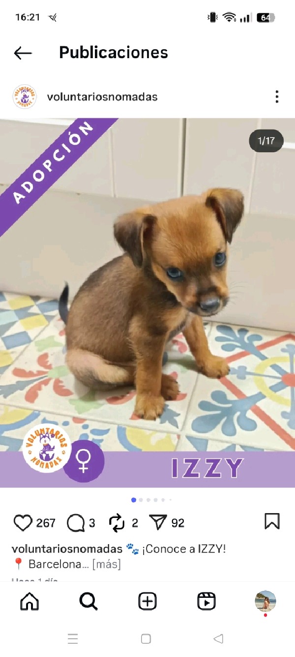 Izzy