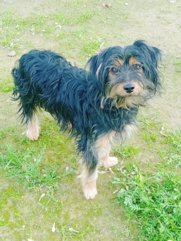 Maggie