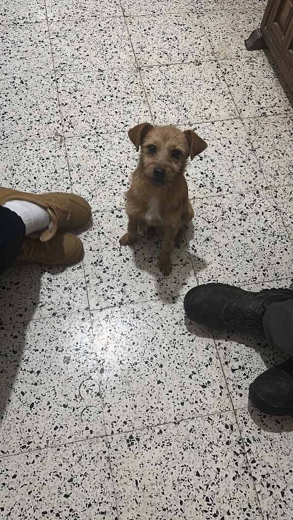 Kiki