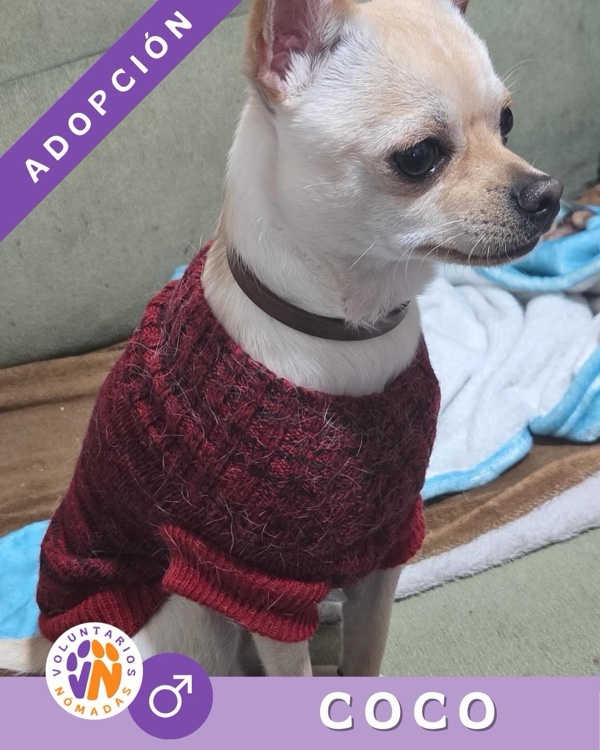 Coco