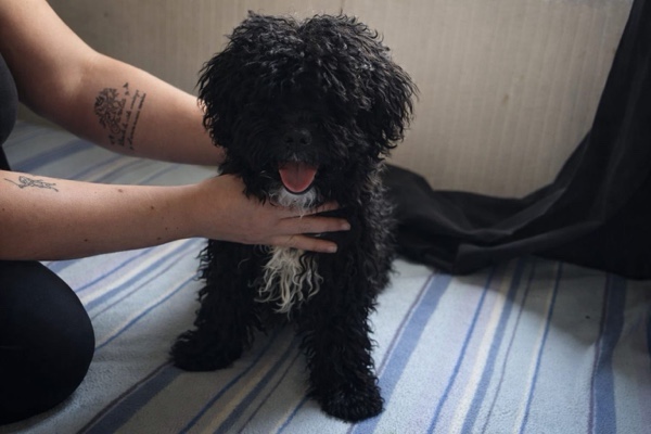 Lola