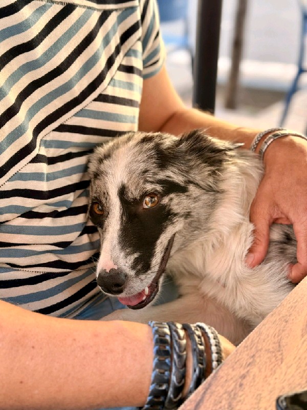 Lola
